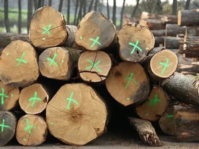 masogrodo-stammholz-eiche-pefc-zertifiziert-3.jpg